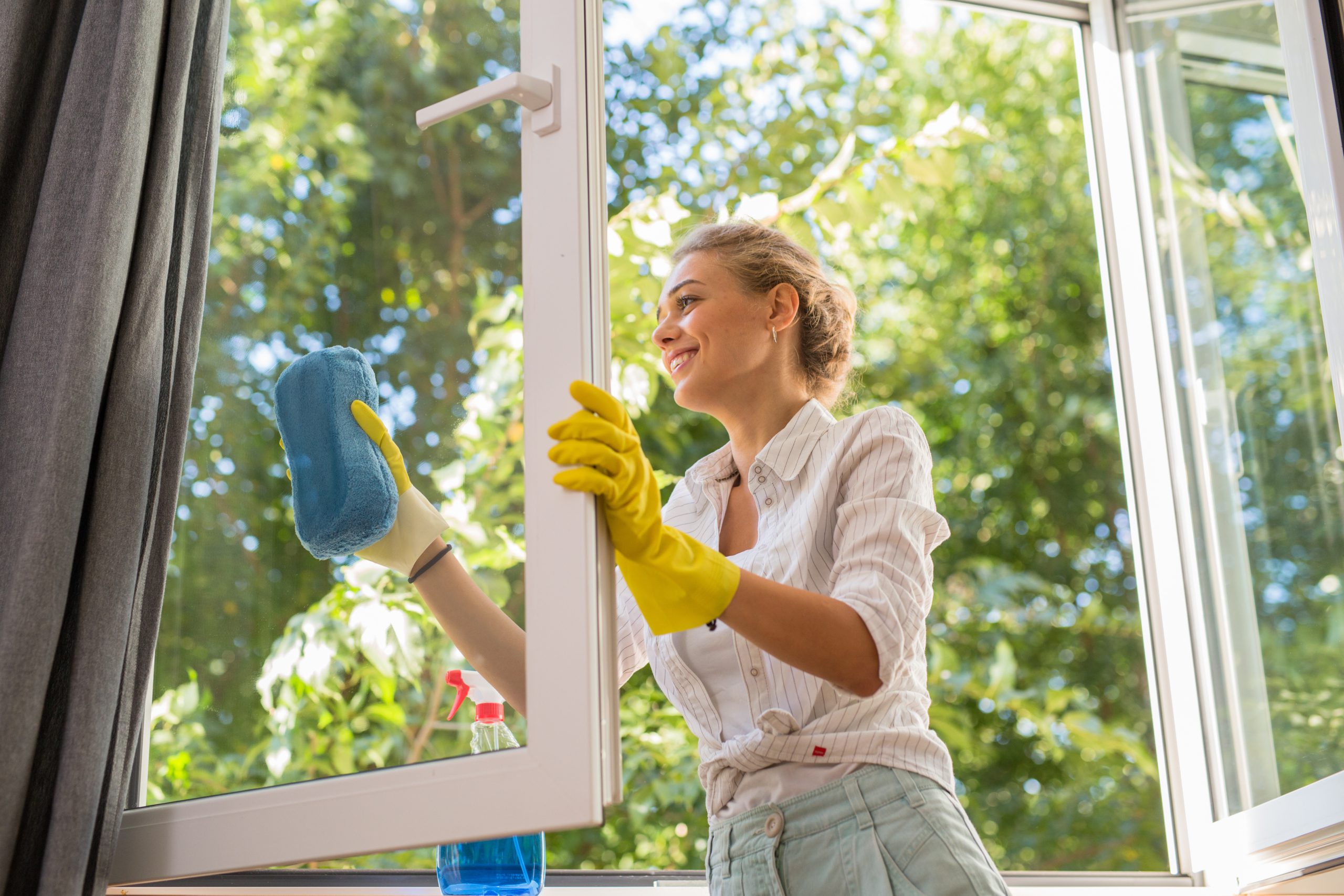 Window Cleaning