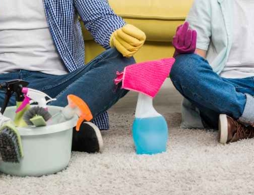How to Clean Carpet Stains Like a Professional