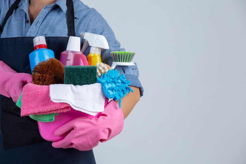 what a housekeeper does | Clean My Space