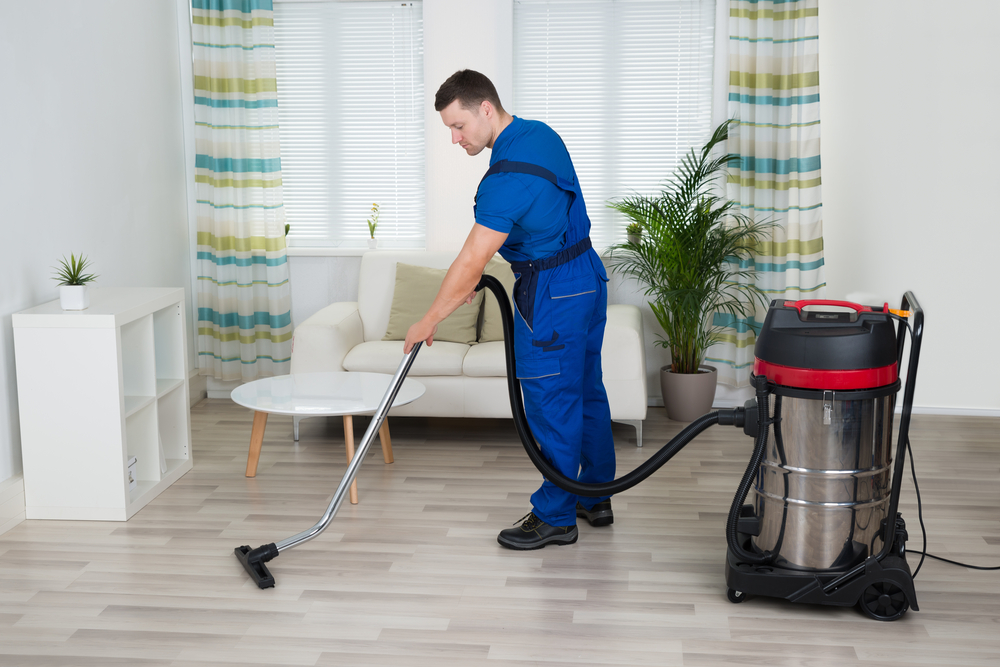 What is the importance of professional cleaners?