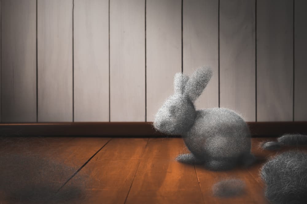How do you neutralize dust mite allergens