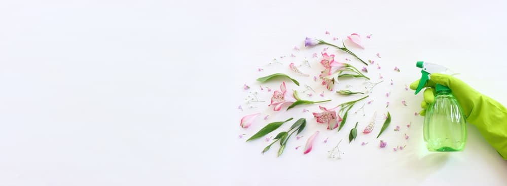 How to do spring cleaning in your house