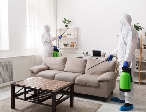 Simple Things You Should Do to Prepare for Home Disinfection Services