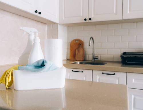 6 Home Disinfection Myths that Need Busting