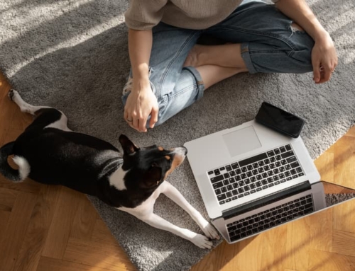 8 Tips for Balancing Cleaning With Working From Home