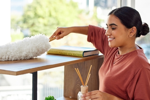 newington maid services