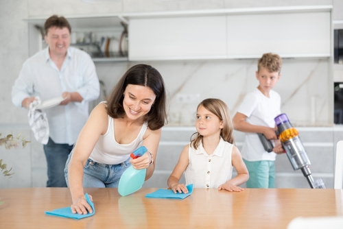 Who in Wethersfield offers top tier house cleaning services