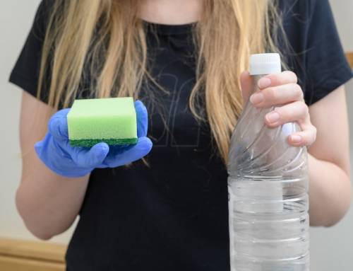 Cleaning Myths Busted: What Actually Works and What Doesn’t