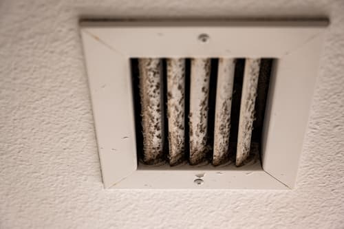 how cleaning can reveal small home problems early